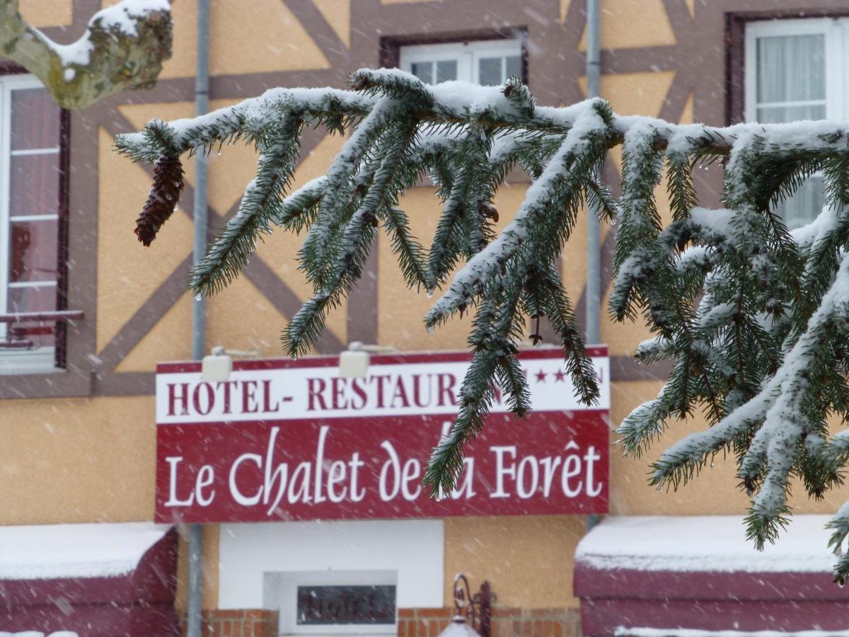 Le Chalet De La Foret Hotel 3 Etoiles Et Restaurant ビアルゾン エクステリア 写真